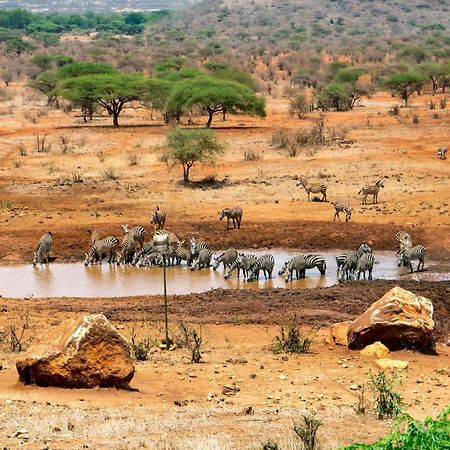 Kilaguni Serena Safari Lodge Tsavo Eksteriør bilde