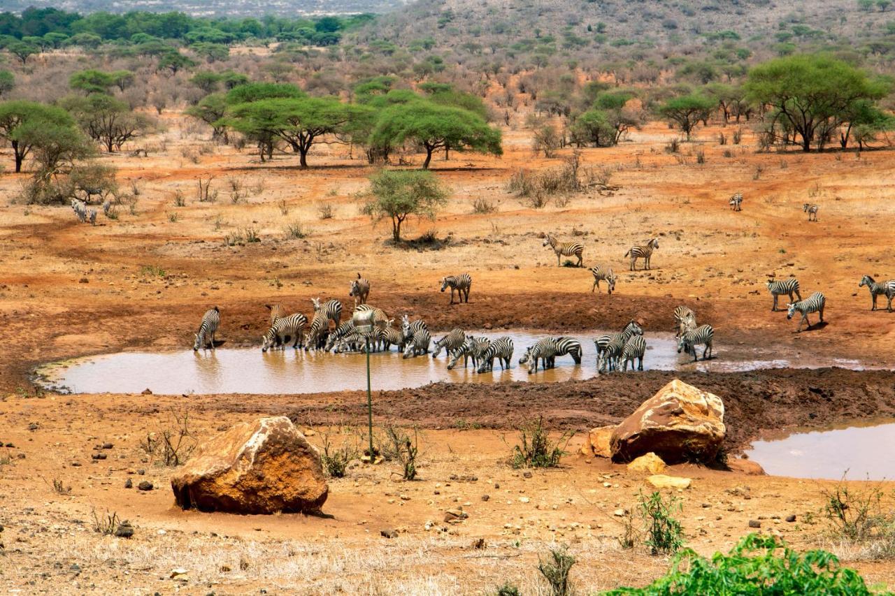 Kilaguni Serena Safari Lodge Tsavo Eksteriør bilde