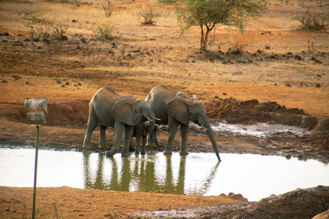 Kilaguni Serena Safari Lodge Tsavo Eksteriør bilde