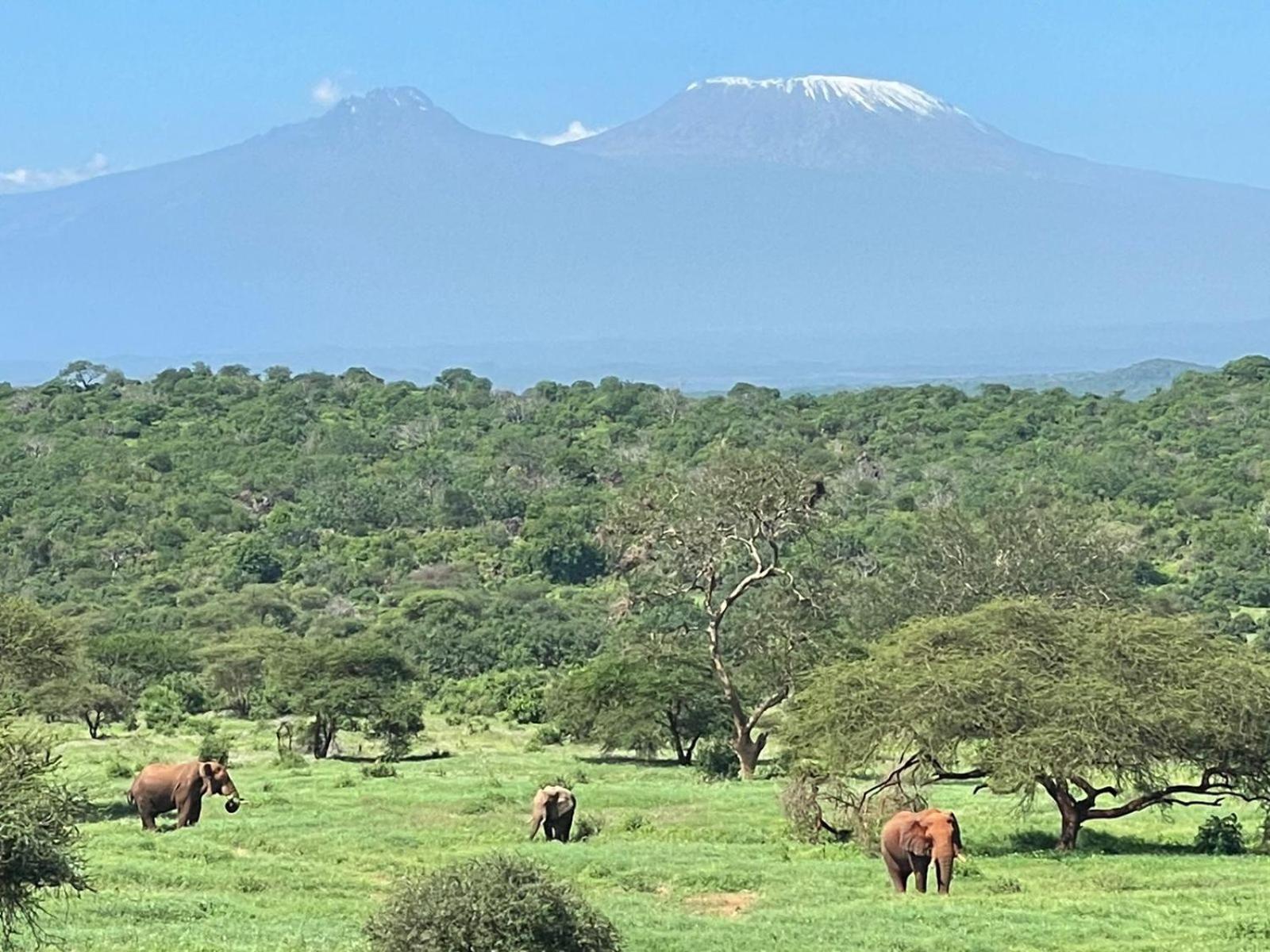 Kilaguni Serena Safari Lodge Tsavo Eksteriør bilde