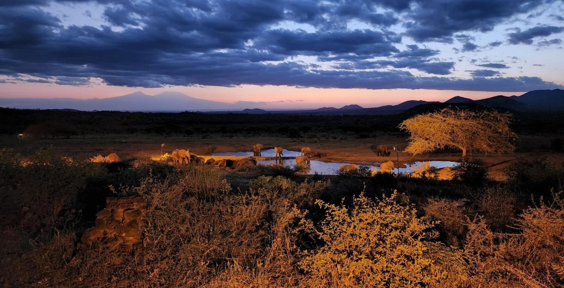 Kilaguni Serena Safari Lodge Tsavo Eksteriør bilde