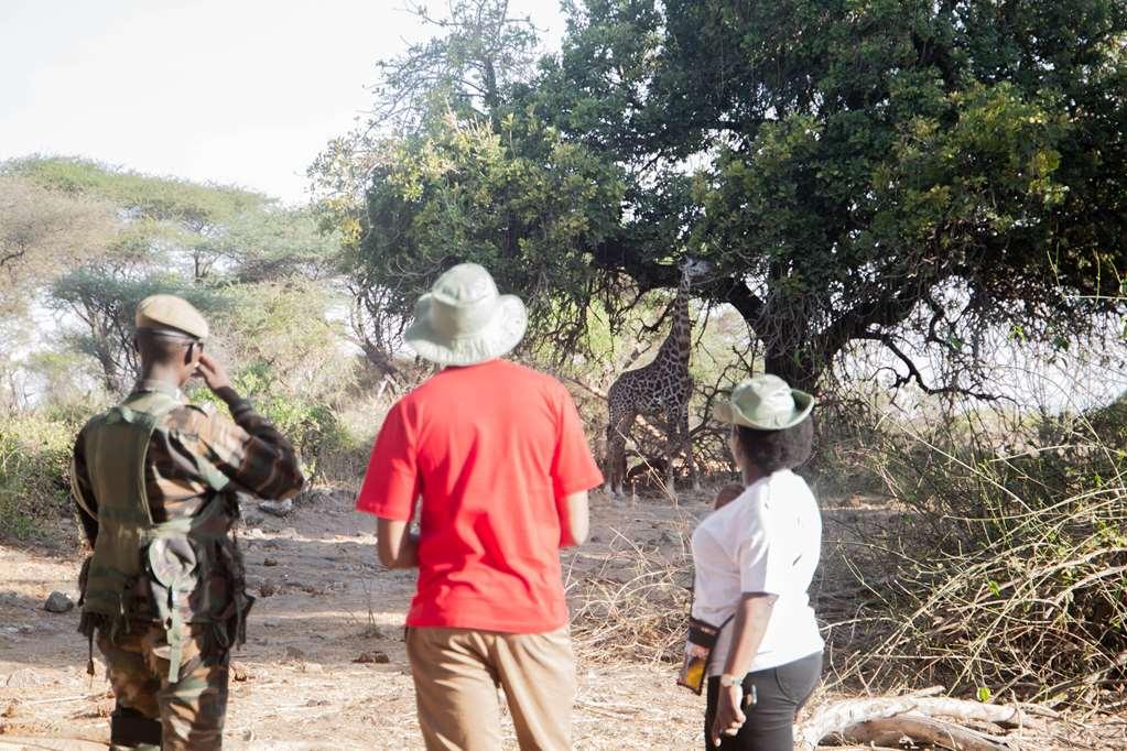 Kilaguni Serena Safari Lodge Tsavo Fasiliteter bilde