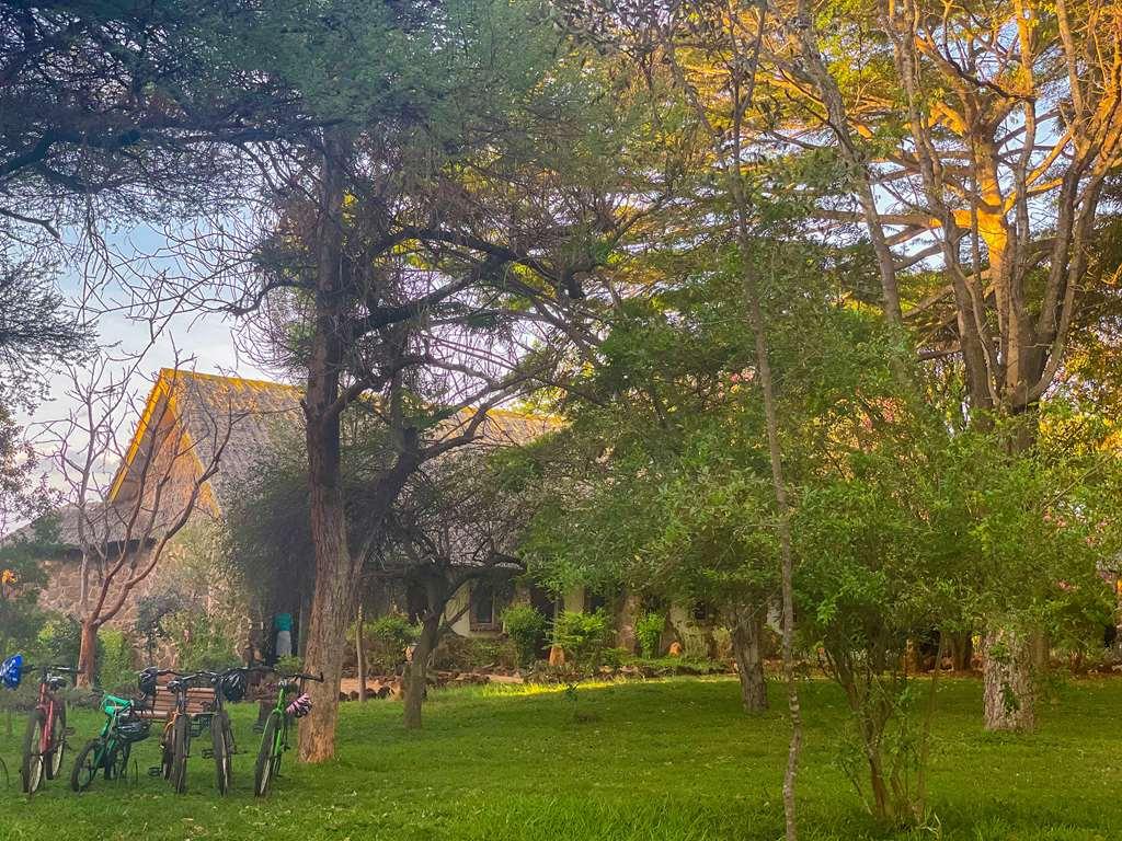 Kilaguni Serena Safari Lodge Tsavo Fasiliteter bilde